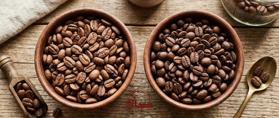تفاوت دان قهوه عربیکا و روبوستا در طعم و کیفیت